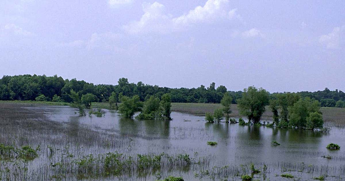 Yazoo National Wildlife Refuge, Hollandale Roadtrippers