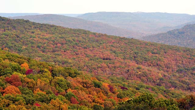 Lake Fort Smith State Park Mountainburg Ar Roadtrippers