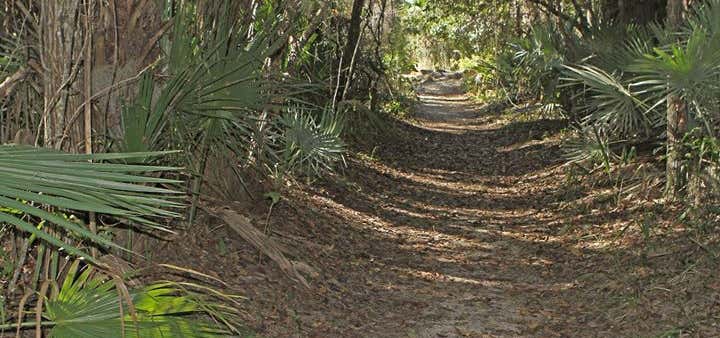 Photo of Brevard County Enchanted Forest Sanctuary