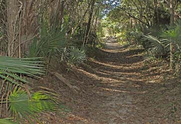 Photo of Brevard County Enchanted Forest Sanctuary