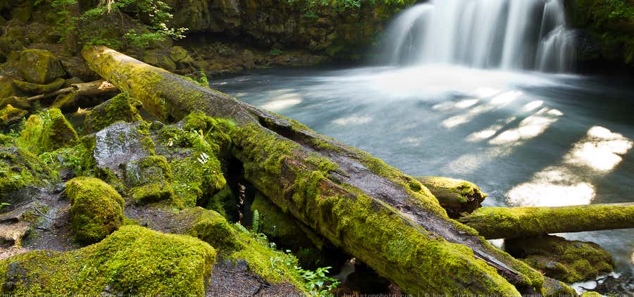 Photo of Umpqua National Forest Waterfalls