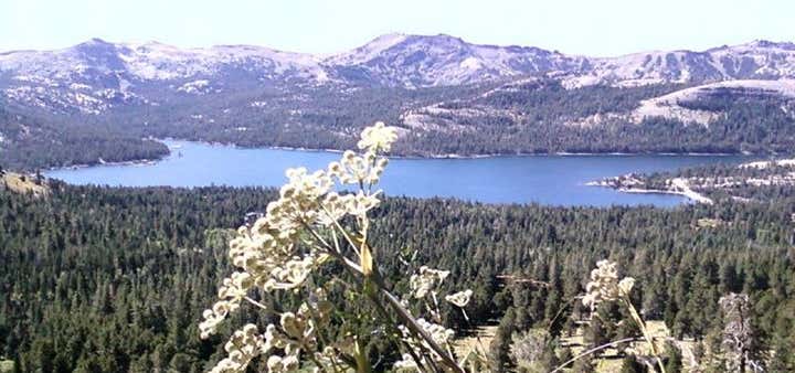 Photo of Caples Lake Resort