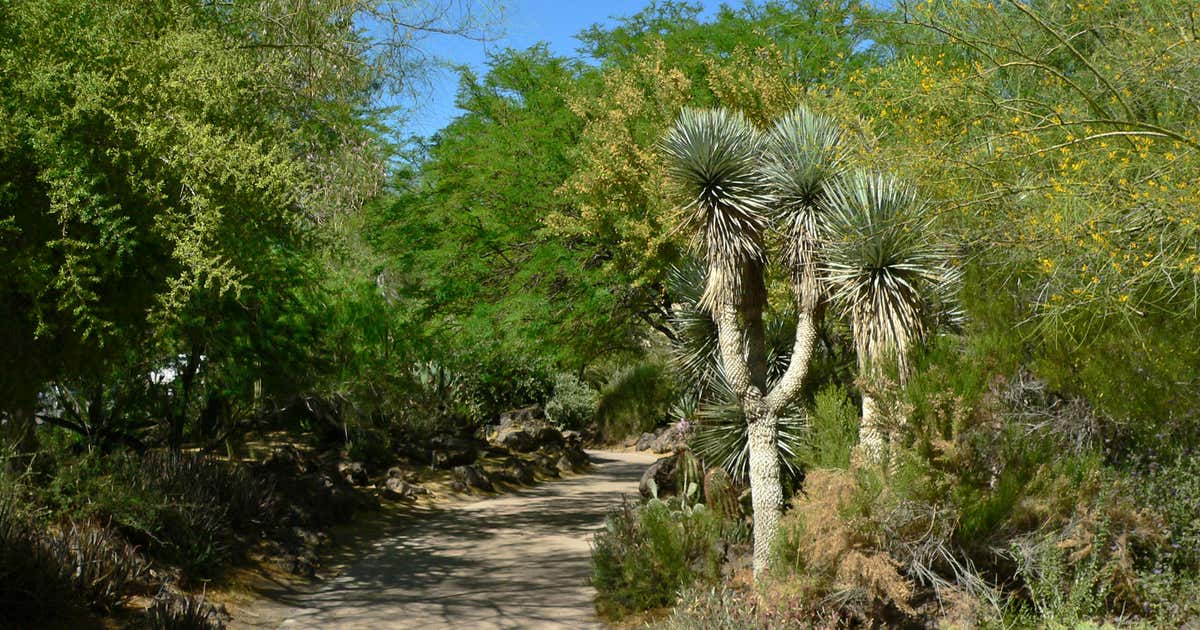 Ethel M Botanical Gardens, Henderson Roadtrippers