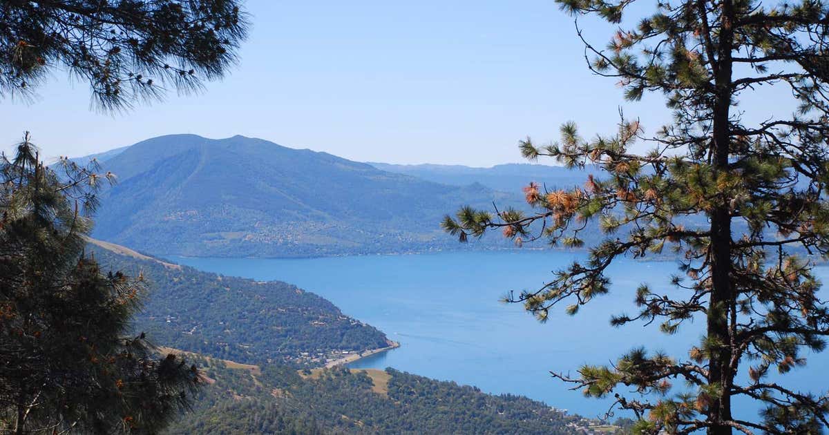 Mendocino National Forest, Willows Roadtrippers