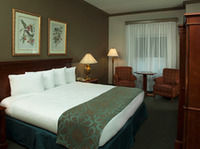Standard Room, 1 King Bed, Non Smoking: <strong>1 King Bed</strong><br /><b>Internet</b> - Free WiFi <br /> <b>Bathroom</b> - Private bathroom, a hair dryer, and a shower/tub combination<br /><b>Practical</b> - Iron/ironing board<br /><b>Comfort</b> - Daily housekeeping<br />Non-Smoking<br />&nbsp;