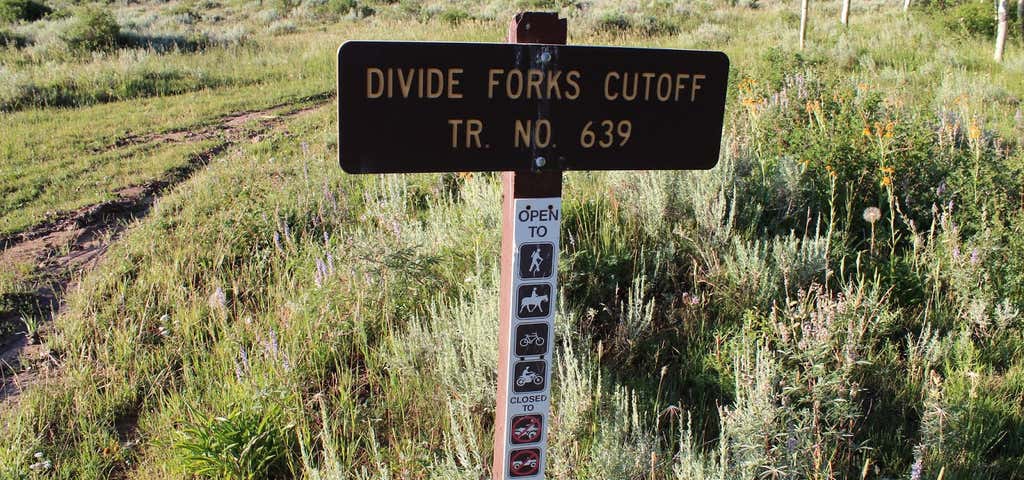 Photo of Divide Fork Campground
