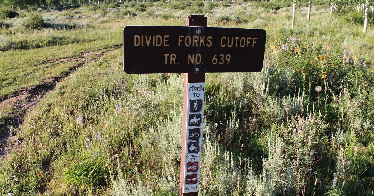 Escape To The Wild: A Guide To Colorado’s Divide Forks Campground