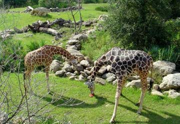 Photo of Brevard Zoo