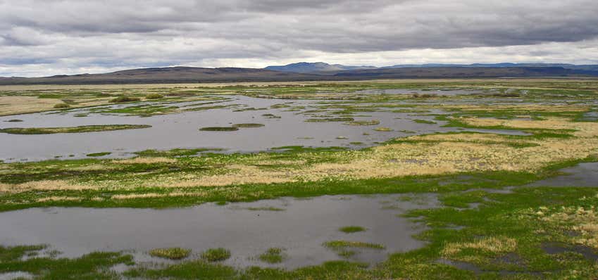 Photo of Diamond Hill Wetlands