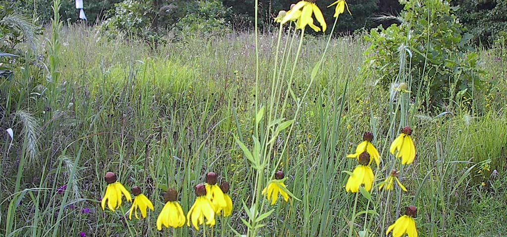 Photo of Iroquois County State Wildlife Area