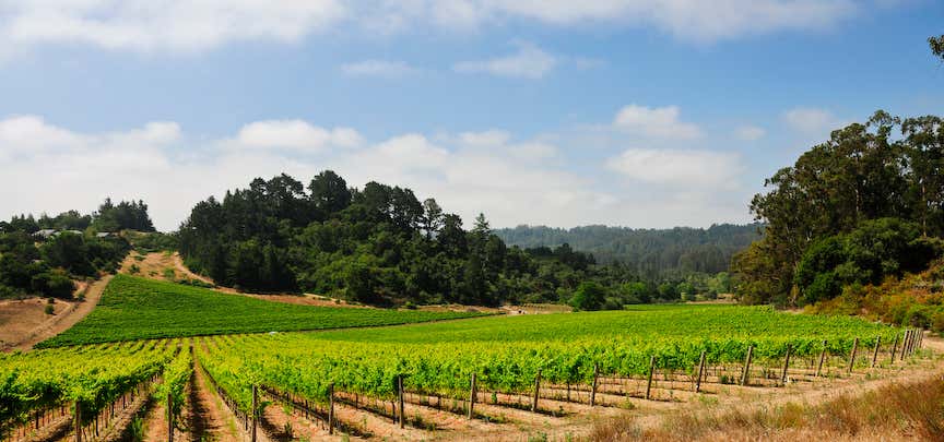 Photo of Corralitos Wine Trail