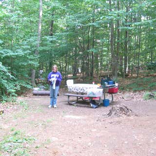 Monadnock State Park Campground