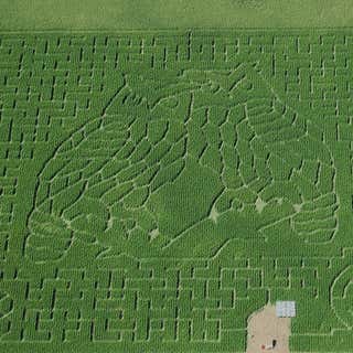 Heartland Country Corn Maze