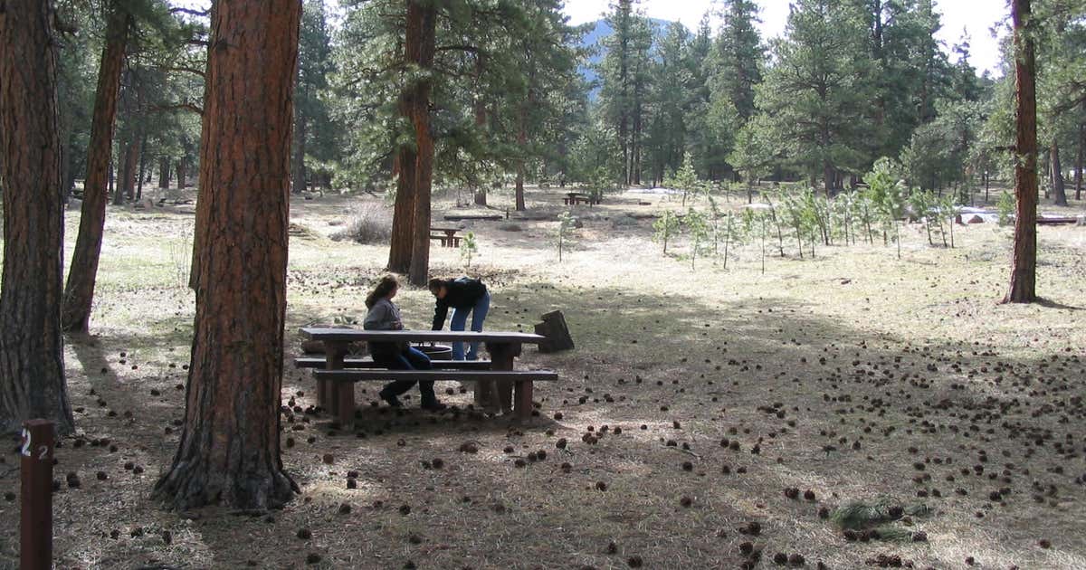 Buffalo Creek Campground, Colorado Roadtrippers