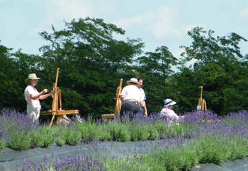 Photo of Peaceful Acres Lavender Farm