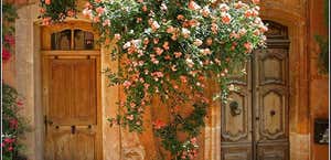 Tuscany Tours