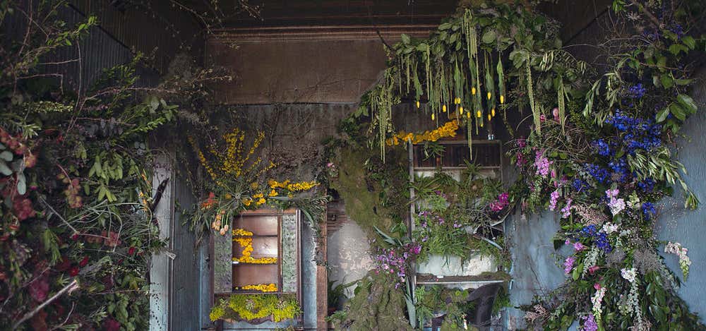 Photo of The Detroit Flower House