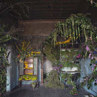 The Detroit Flower House