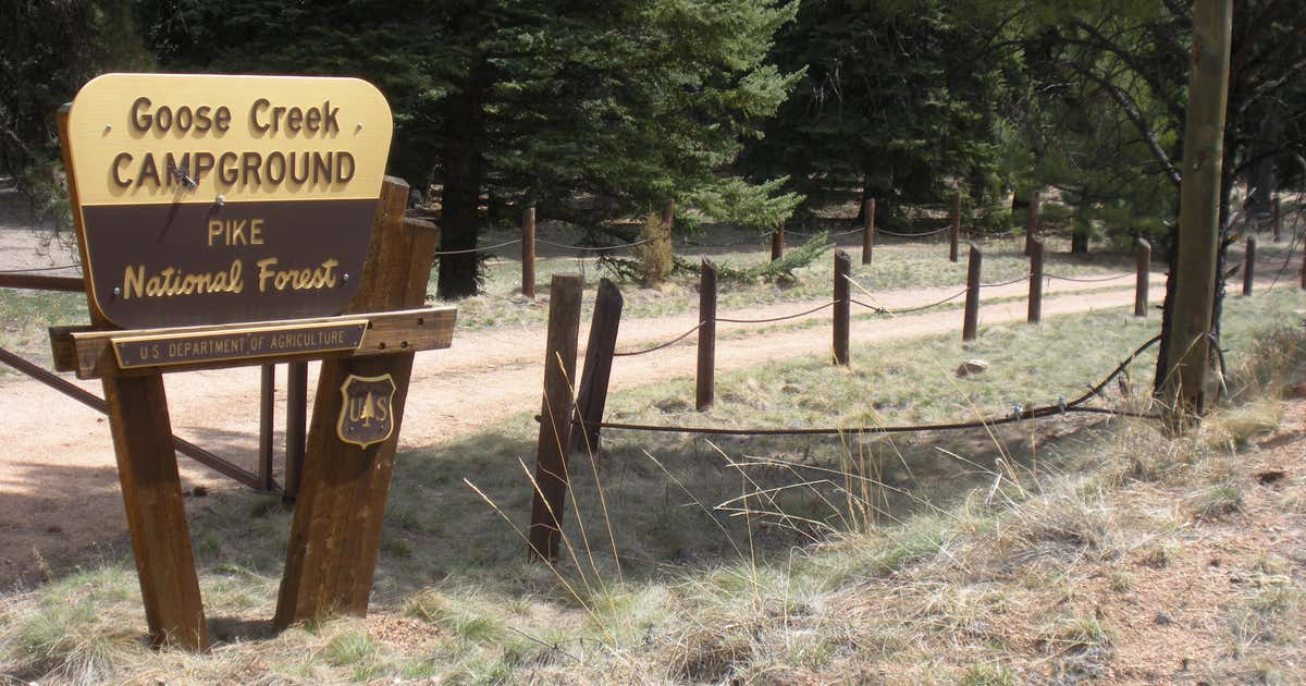 Goose Creek Campground, Morrison Roadtrippers