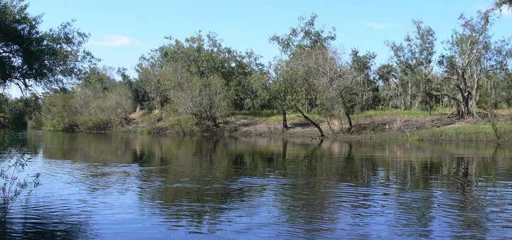 Paleo Discoveries, Vero Beach | Roadtrippers