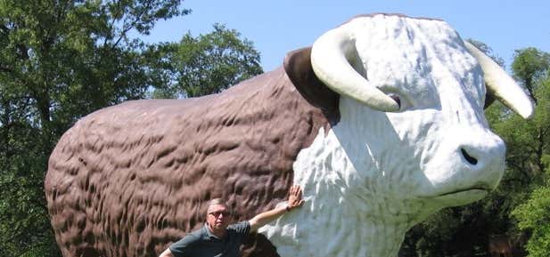 Photo of Giant Bull