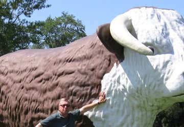 Photo of Giant Bull