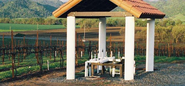Photo of Capay Valley Vineyards