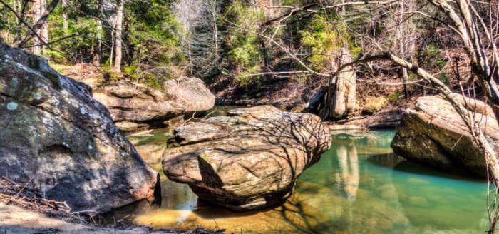 Photo of William B. Bankhead National Forest