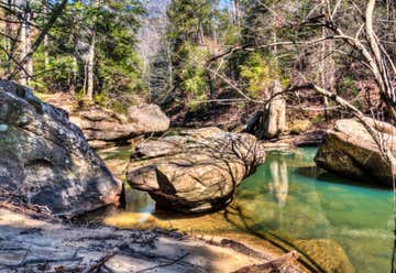 Photo of William B Bankhead National Forest
