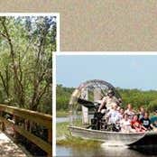 Everglades City Boardwalk & Airboat Tours