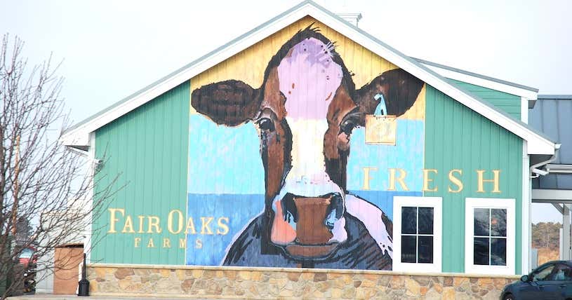 Fair Oaks Dairy, Fair Oaks Roadtrippers