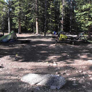 Selkirk Campground