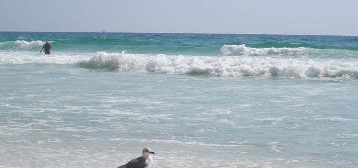Photo of Howell's/Treasure Island Resort, Panama City Beach, Florida