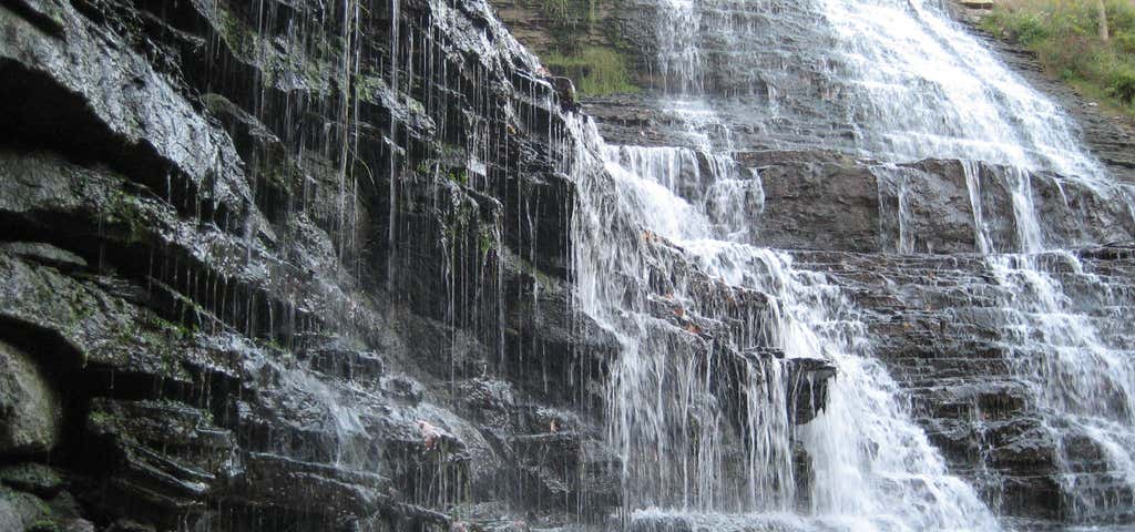 Photo of Albion Falls