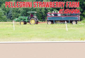 Photo of Pellegrini Strawberry Farm Escanaba
