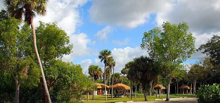 Photo of Collier Seminole State Park Campground