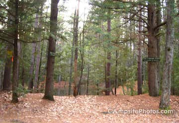 Photo of Bear Brook State Park Campground