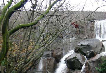 Photo of Waterfall Garden Park