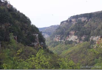 Photo of Cloudland Canyon