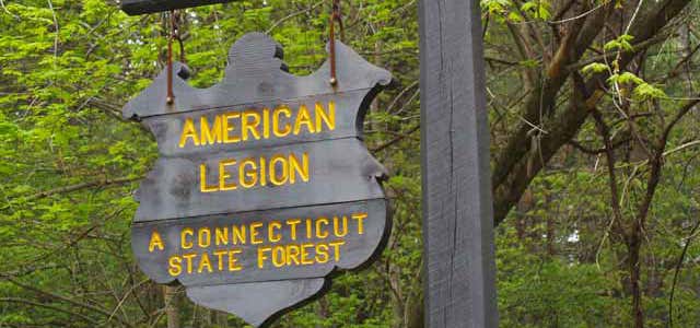 Photo of American Legion State Forest