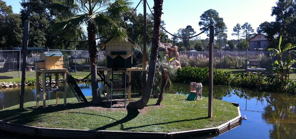 Photo of Alabama Gulf Coast Zoo