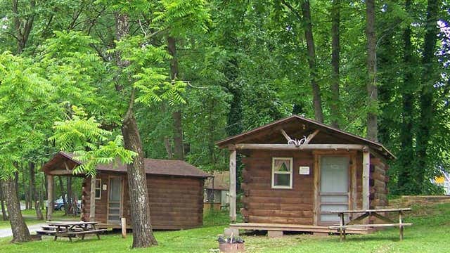 are dogs allowed at hickory run state park camping