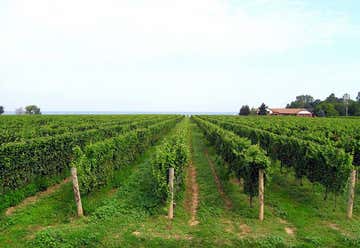 Photo of Troutman Vineyards and Winery
