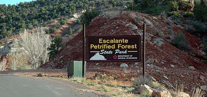 Photo of Escalante Petrified Forest State Park Campground