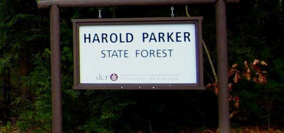 Photo of Harold Parker State Forest Campground