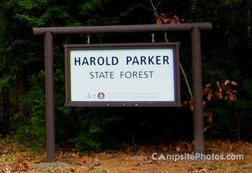 Photo of Harold Parker State Forest Campground