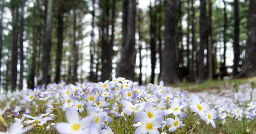 Rowan University Rotc Trip | Roadtrippers