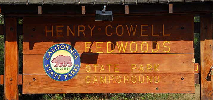 Photo of Henry Cowell Redwoods State Park Campground