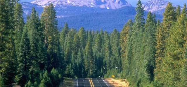 Photo of Volcanic Legacy Scenic Byway