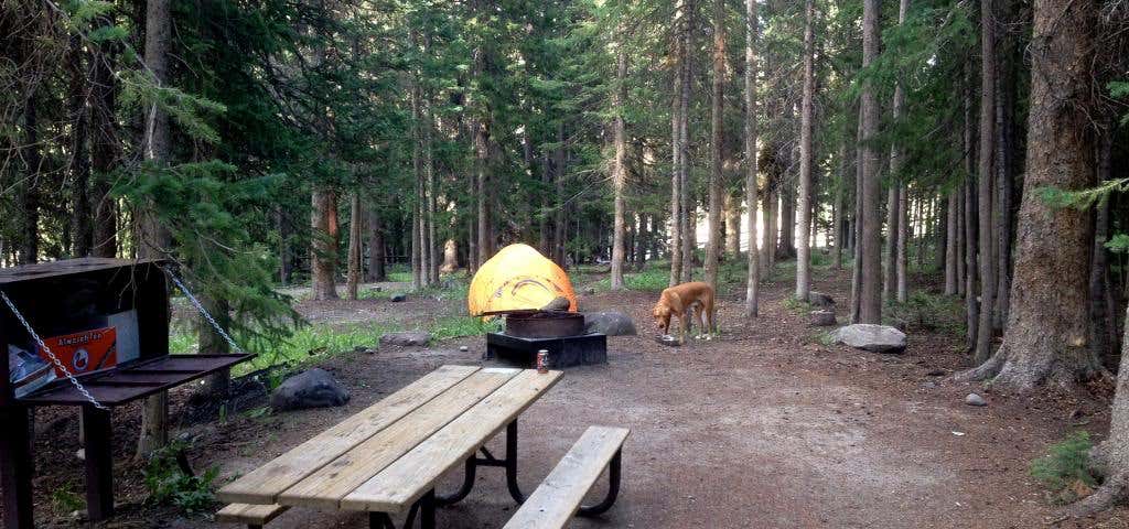 Photo of Evans Creek Campground